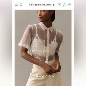 Anthropologie Sunday in Brooklyn Sheer Cropped Button-down